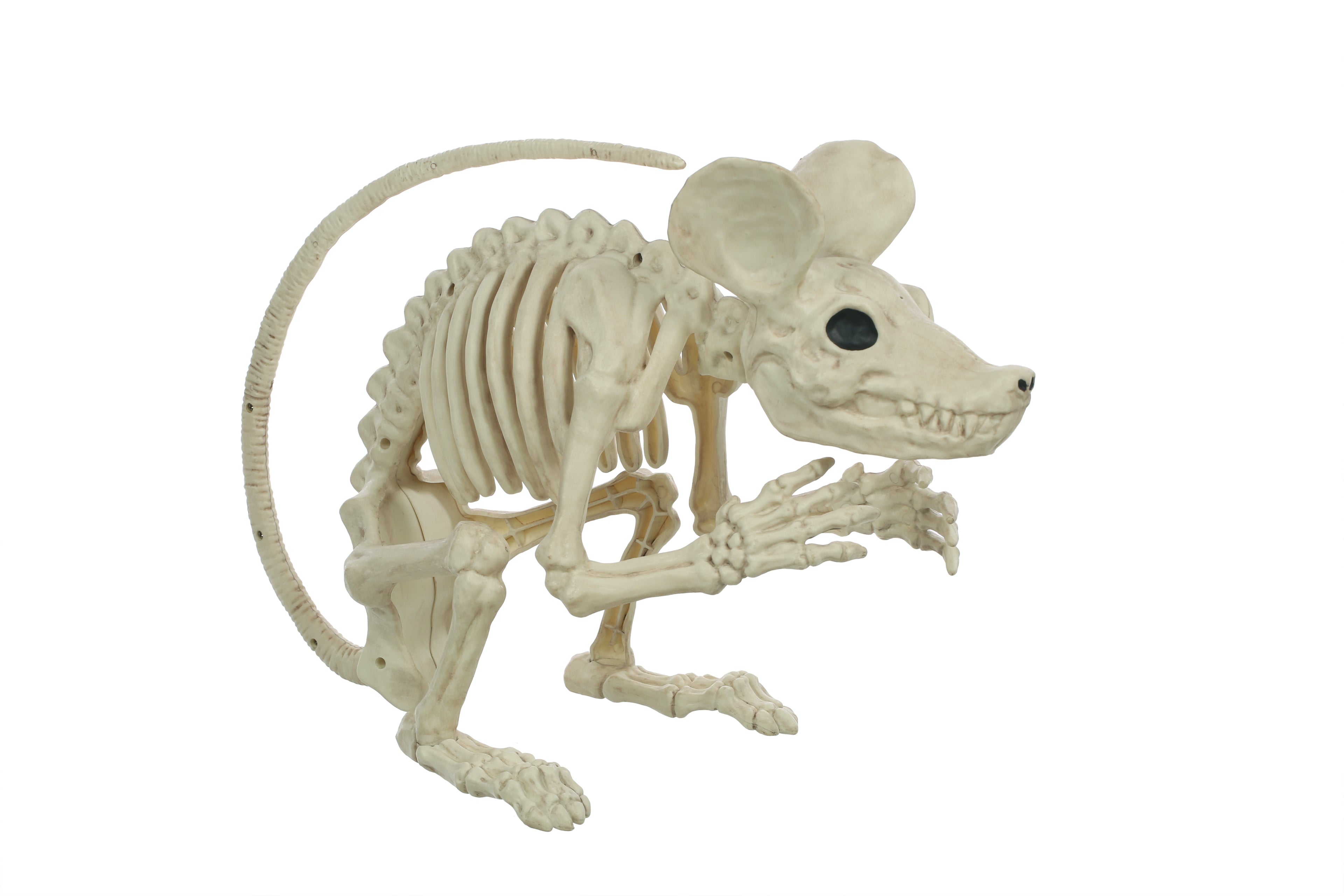 Rat Attack Giant Skeleton Rat Halloween Decoration, 20 Inches