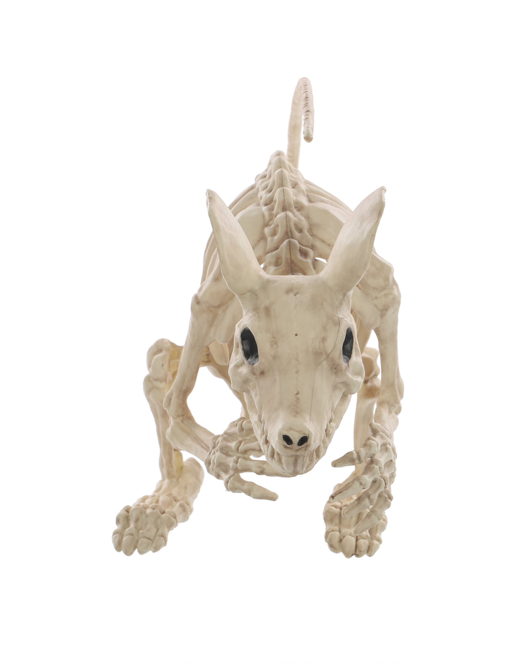 Rat Attack Giant Skeleton Rat Halloween Decoration, 20 Inches